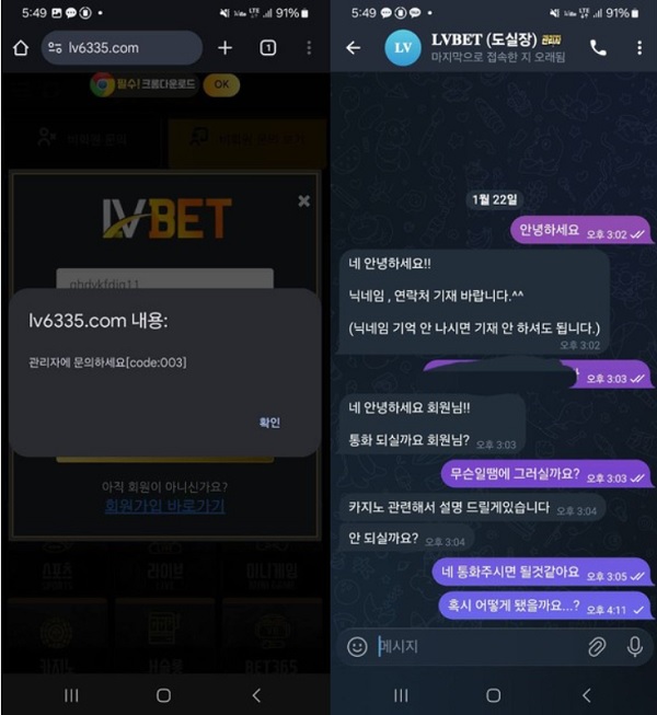 LV벳먹튀.jpg